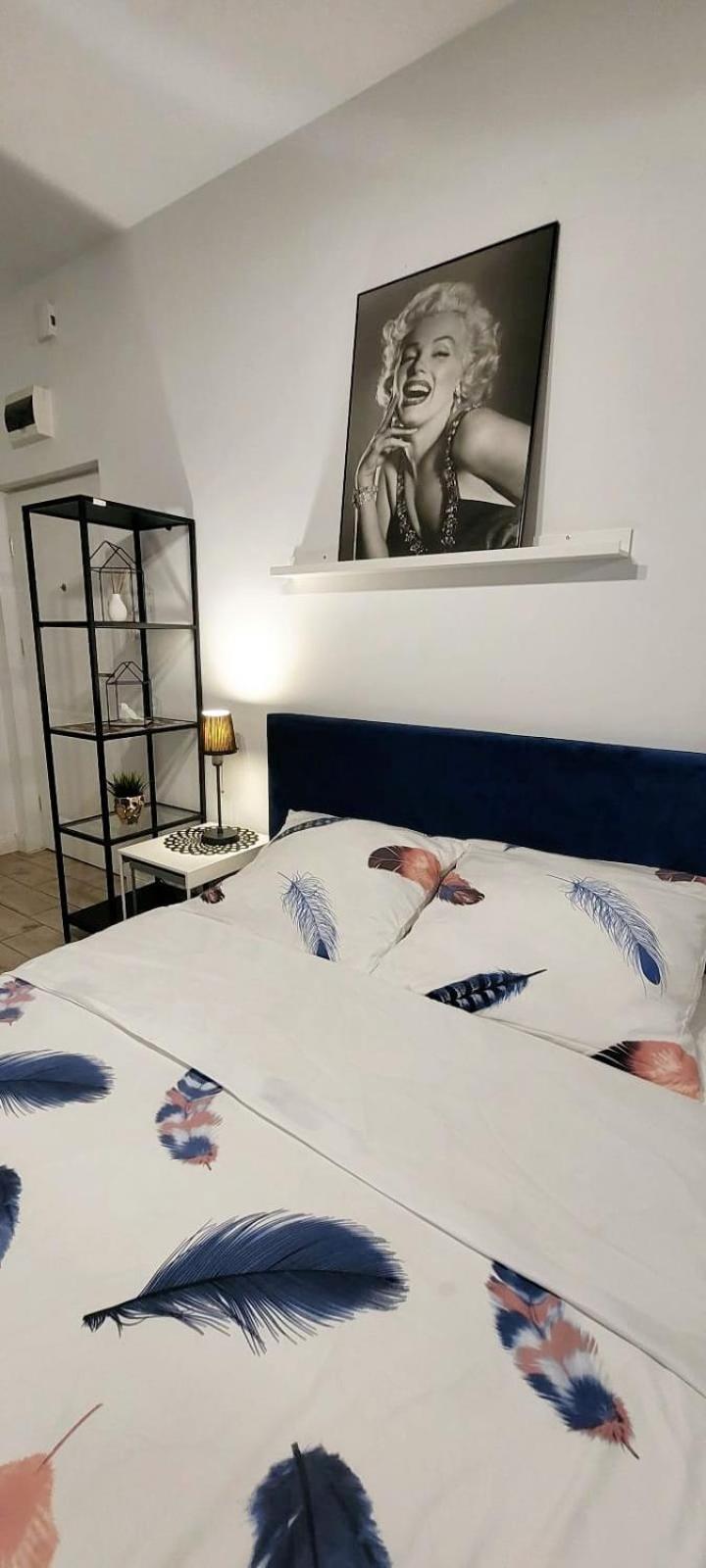 Homecomfort Merlin Butas Warsaw
